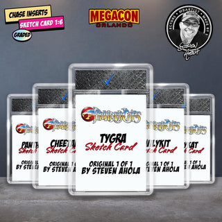 COLLECTOR BOX | THUNDERCATS #1 by Steven Ahola | Megacon