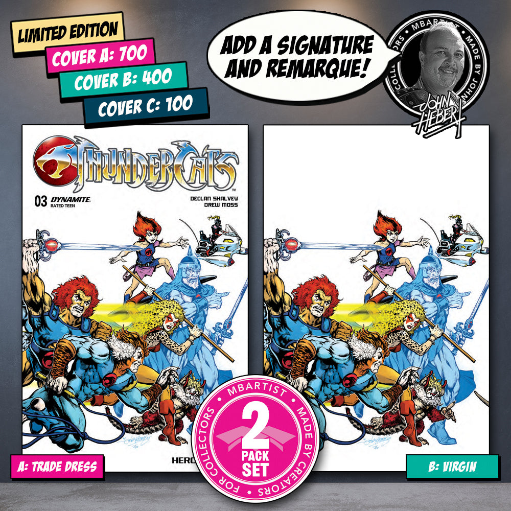 COMIC BOOK | THUNDERCATS #3: VARIANT EXCLUSIVE by John Hebert | SET OF ...